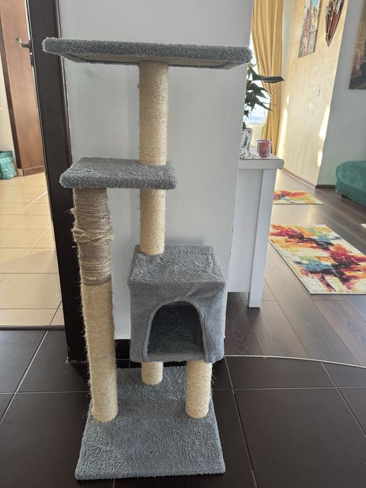 Ansamblu joaca pisici !!!