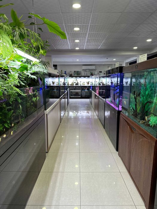 Аквариумы CLEAIR AQUATICS от эксклюзивного дилера в Узбекистане