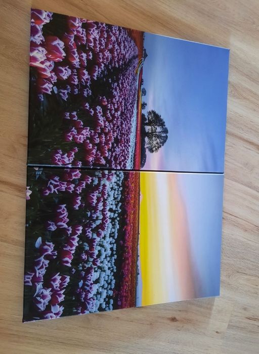 2 картины в гостиную за 8 тысяч.