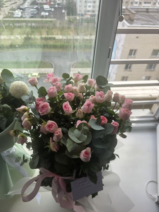 Цветы красивые продам