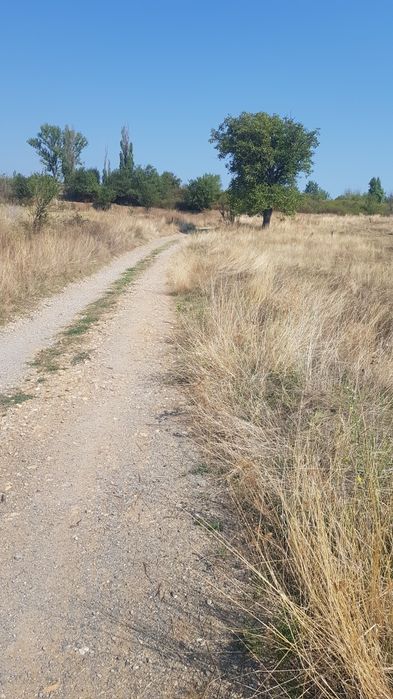 Продава се Парцел в Кюстендил, Бузлуджа - 3000 кв.м за 2 €/кв.м - Снимка #2