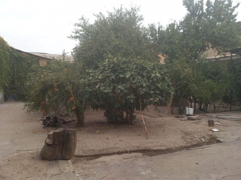 Арзон нархда участка сотилади