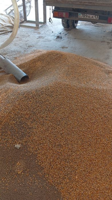 Жугери,Бидай,Арпа,Шрот