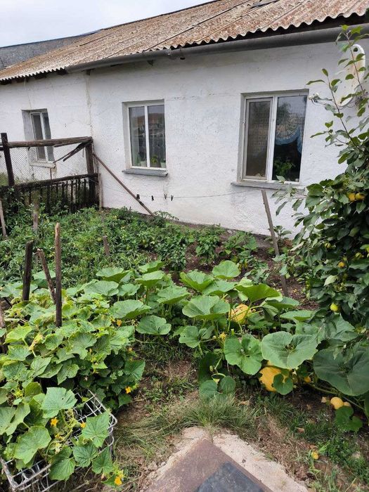 Продается дом/участок
