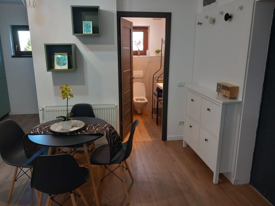 Apartament cu o camera, loc de parcare, curte privata