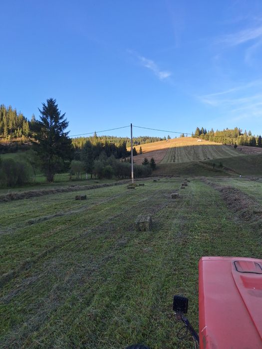 Fân de munte, curat,fără ploaie