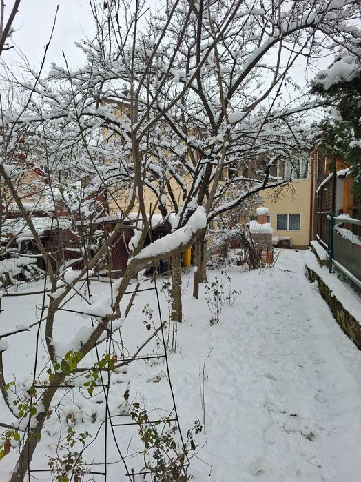 Casa de vanzare  in  Vatra Dornei Bucovina Parc Partia Veverita