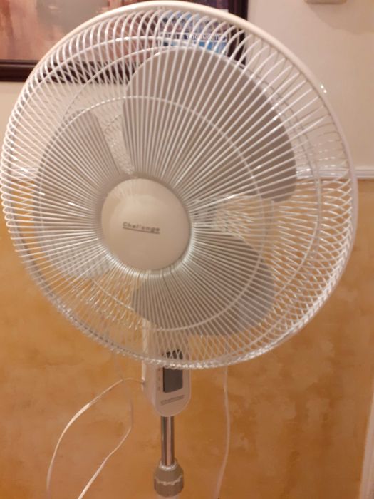 Голям вентилатор