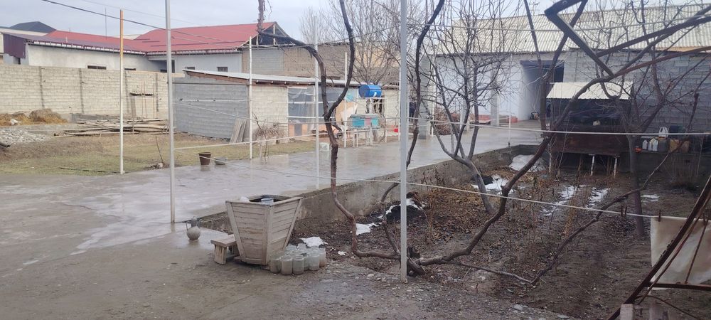 Уй жой идиелал тадбиркорлар учун