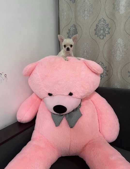 продам игрушки детские