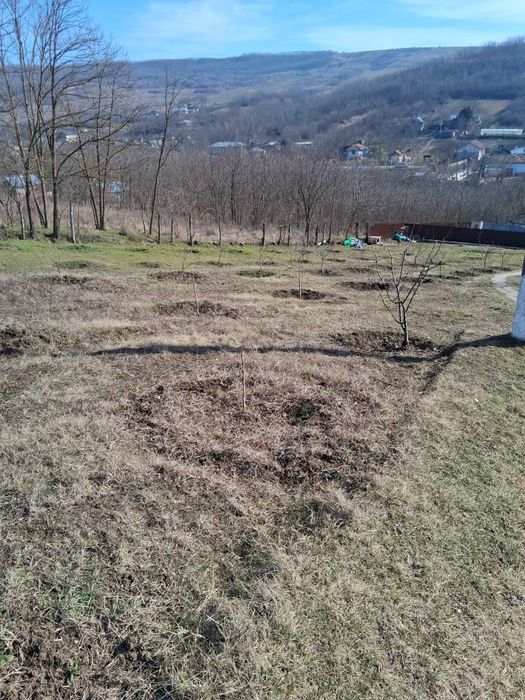 Teren intravilan