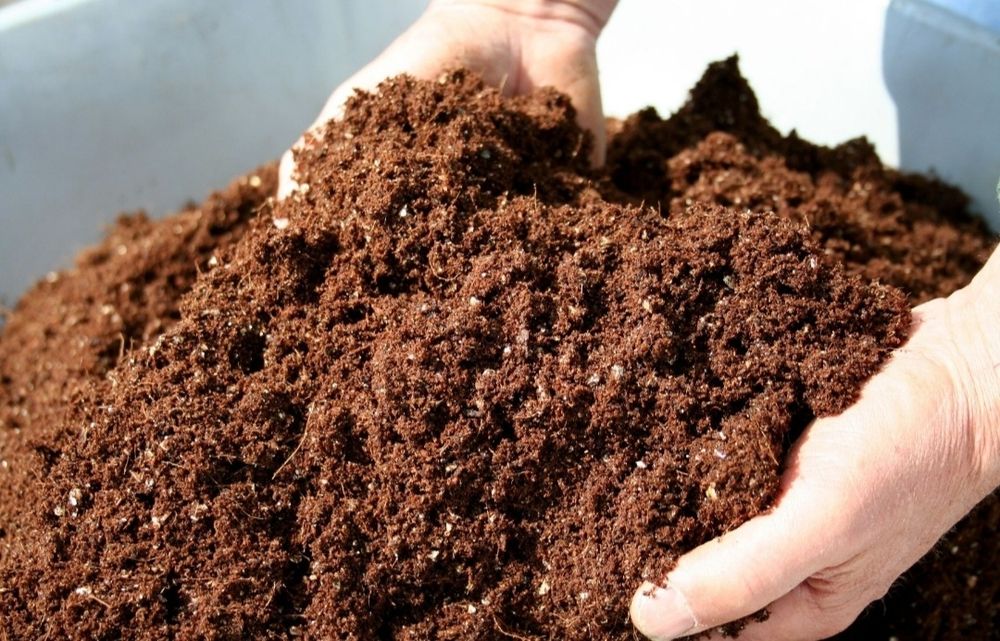 Продам перегной.