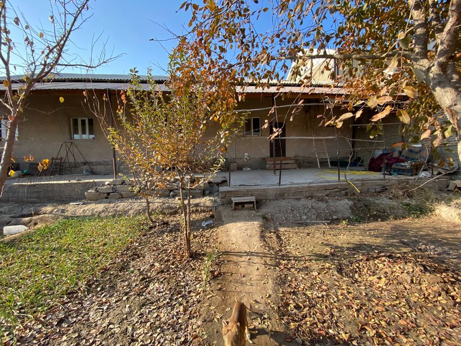 Уй сатылад 8 сутик