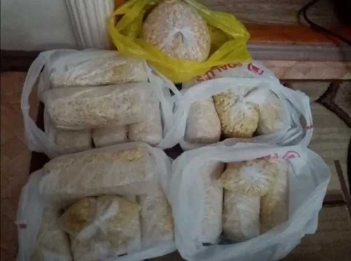 Мамалыга свежая уловистая для рыбалки.