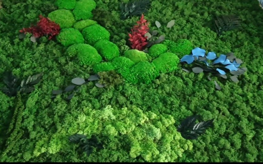 Lichenii stabilizați