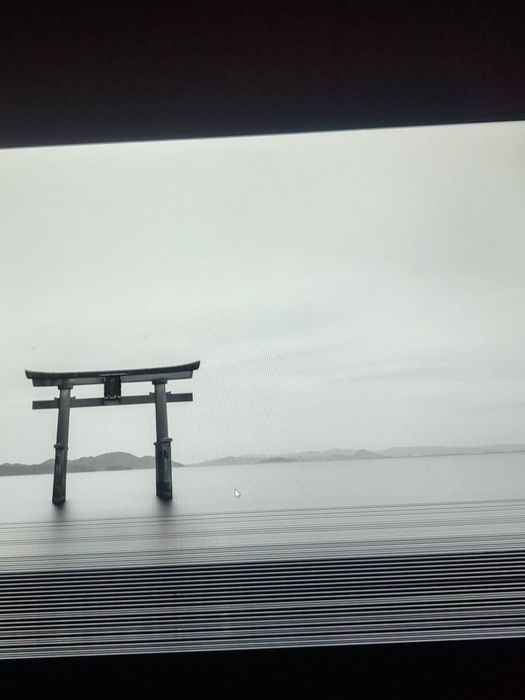 VecorSonic 27 дюймов 180гц