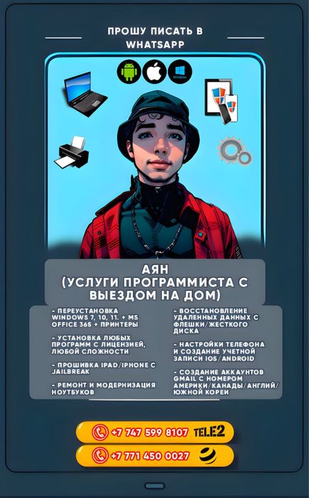 Услуги программиста, переустановка Windows, eGov услуги