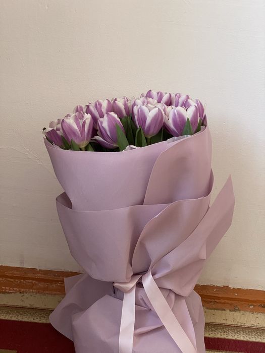 Тюльпан свежые .