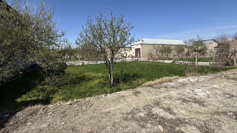 Uchastka sotiladi tezda