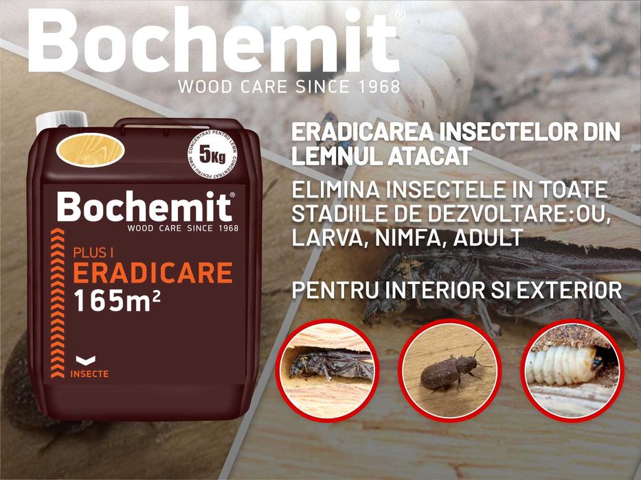 Solutie eliminare carii lemn Bochemit Plus I - tratament profesional