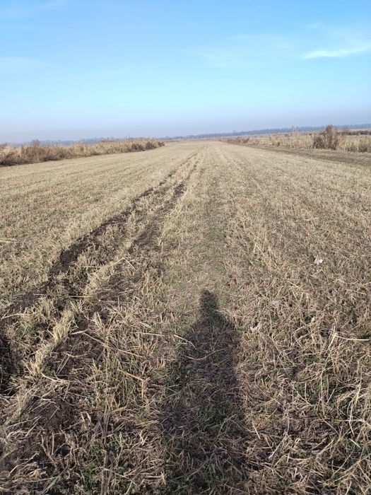 Продам землю К/Х