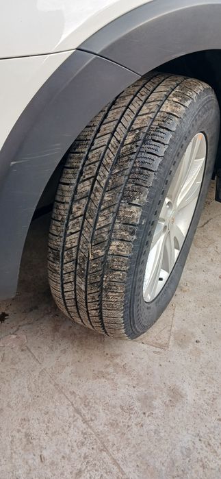 Каптива1 нахт, ВИКУПКА БОР