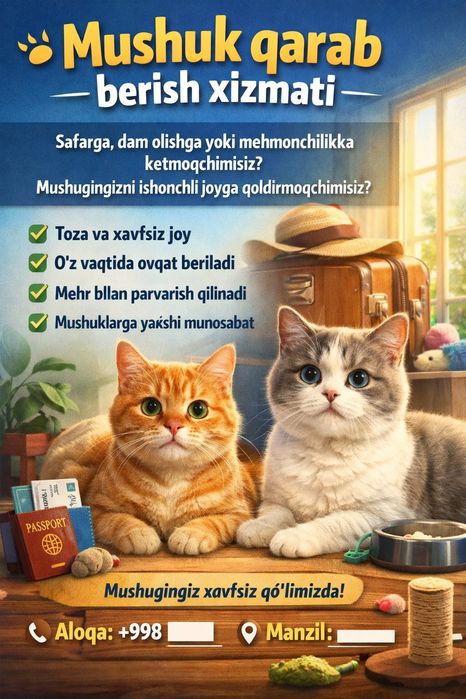 mushuklar uchun kerakli hizmatlar