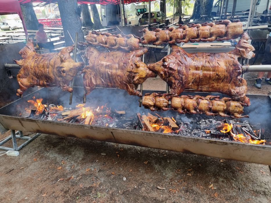 Protap rotisor evenimente