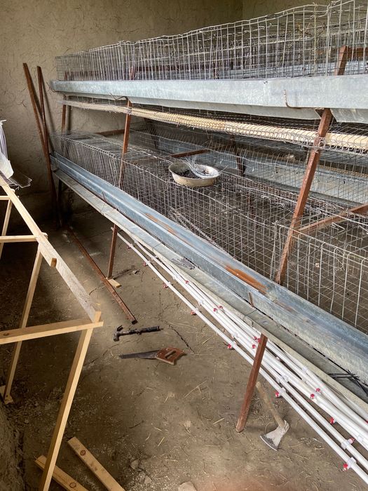 Tovuq katak tayyor lyuks