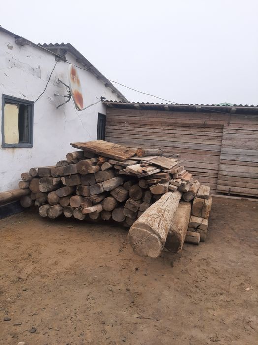 Ағаштар әр түрлі