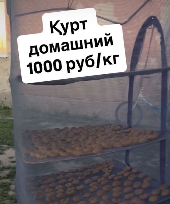 Қурт домашний!!!