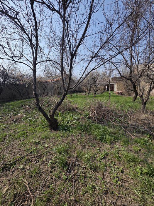 Кибрай тумани Қипчоқ маҳалласида 7 сотихли ер участкаси сотилади.