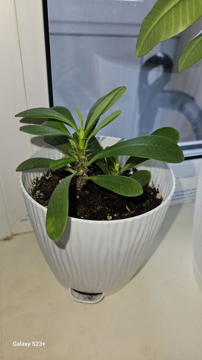 Скидка от 1500тг продам