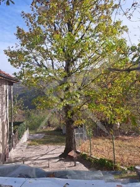 Продава се Къща в с. Врата, Област Пловдив - 170 кв.м за 1030 €/кв.м - Снимка #5