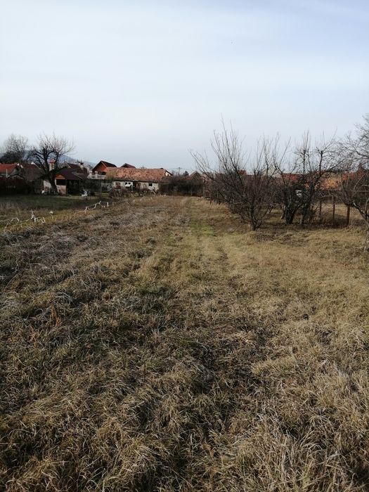 Teren intravilan Ghimbav