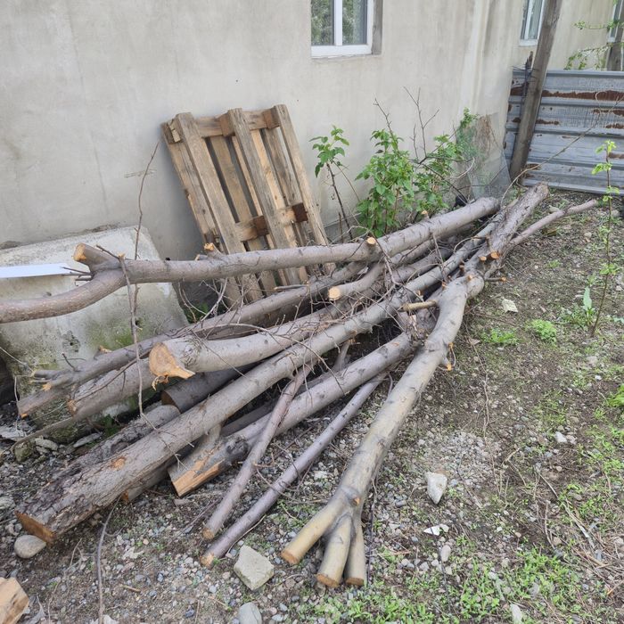 Дрова бесплатно самовывоз