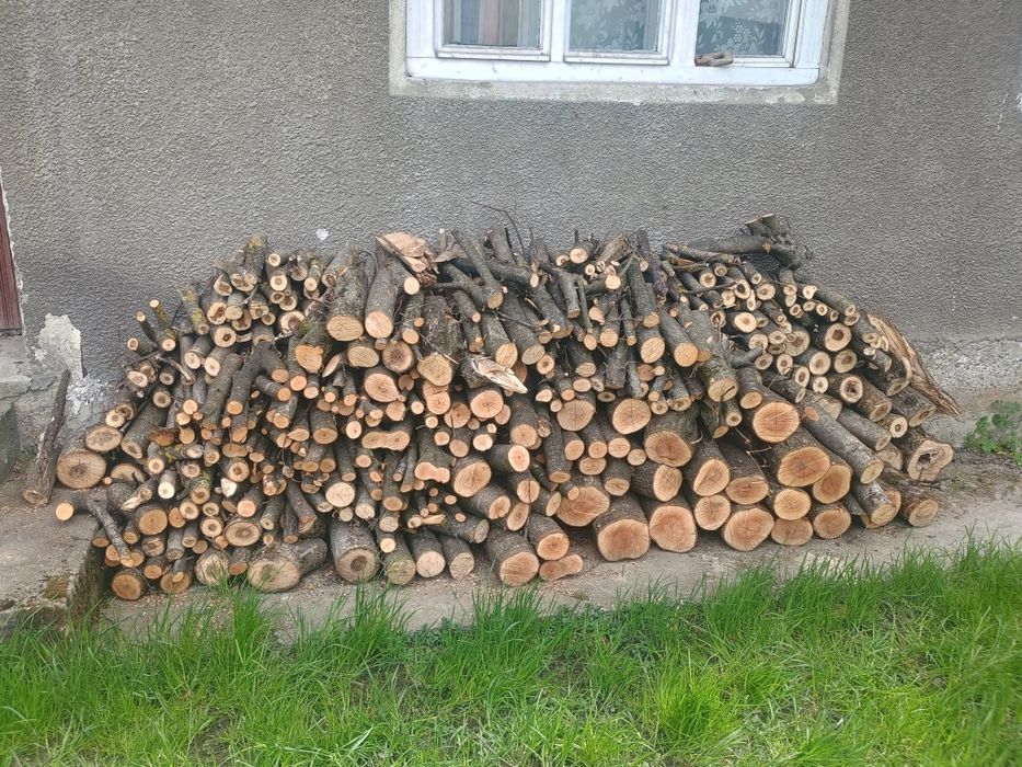 Vînd lemne pom +nuc