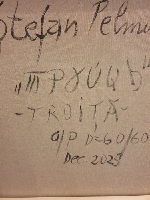 Troita . Stefan pelmus.