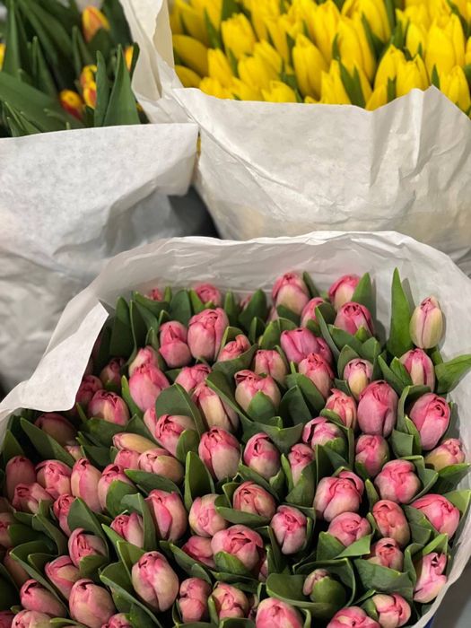 Тюльпаны оптом в Костанае на 8 марта