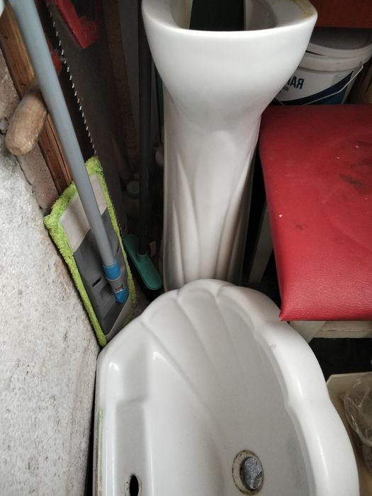 Продам тюльпан не дорого