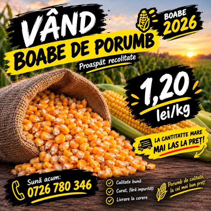 Vand porumb 2026 !
