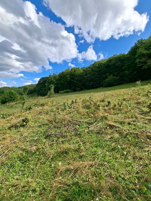 Teren intravilan+extravilan Podirei Bistrita