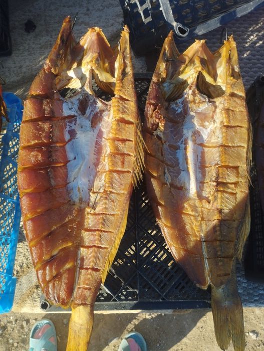 Копченый судактар