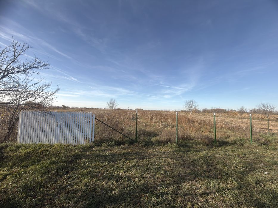 Teren de vanzare Micula