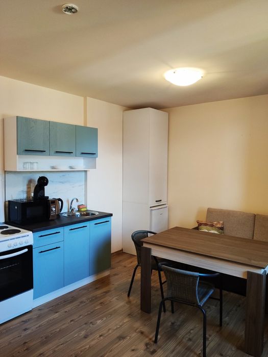 Продава се Едностаен апартамент в к.к. Пампорово - 47 кв.м за 905 €/кв.м - Снимка #13