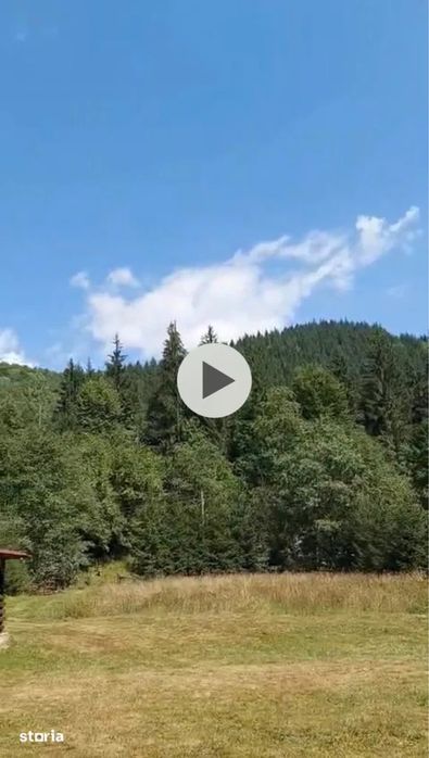 Vand teren Valea Ilvei - Lunca Bradului Parcul National Calimani