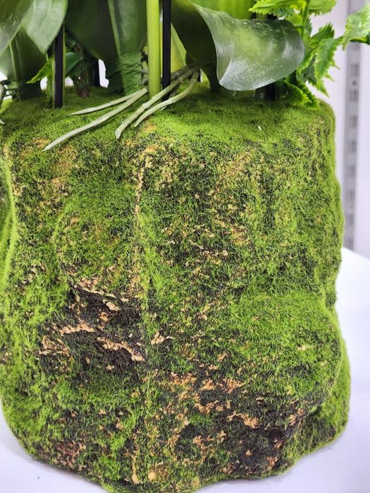 Орхидея ландшафт для дома декоративные