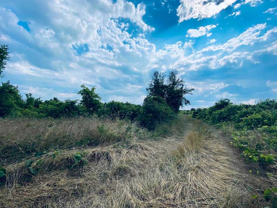 Продава се Земеделски имот в Варна, Възраждане 1 -  кв.м за 30 €/дка - Снимка #1