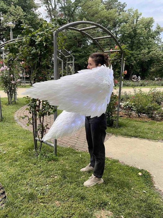 Крила за танци, шоу програми и фотосесии