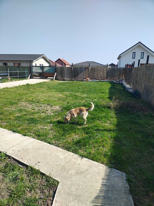 Proprietar ! vând teren zona Bujac